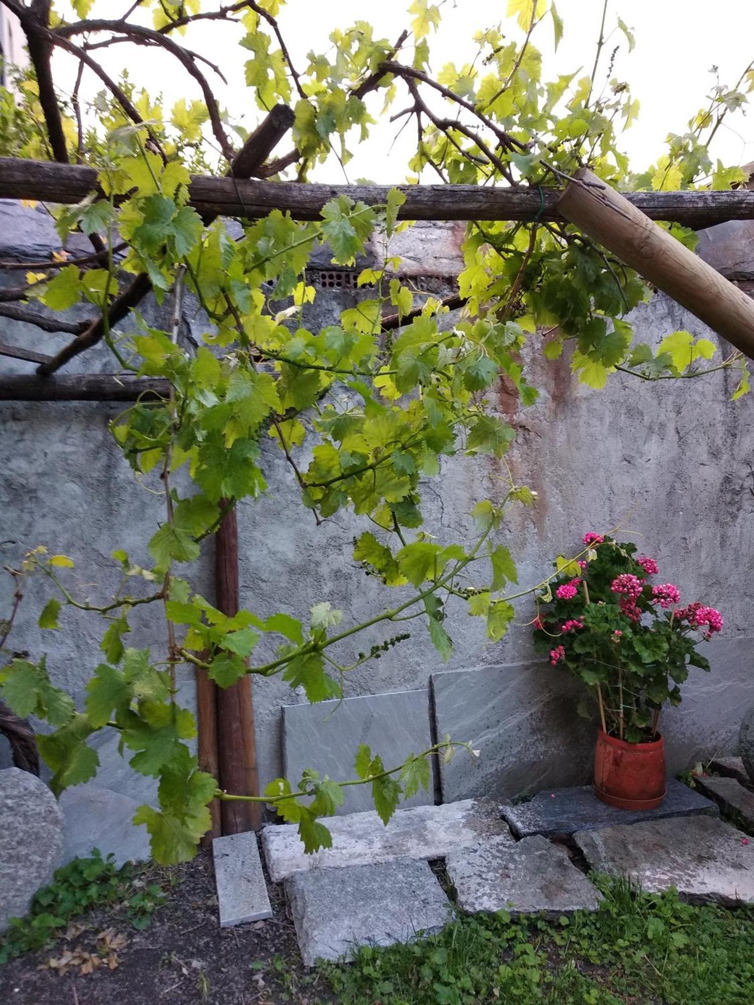 Maison Soleil - Il Giardino - Affitti Brevi Italia Apartment *