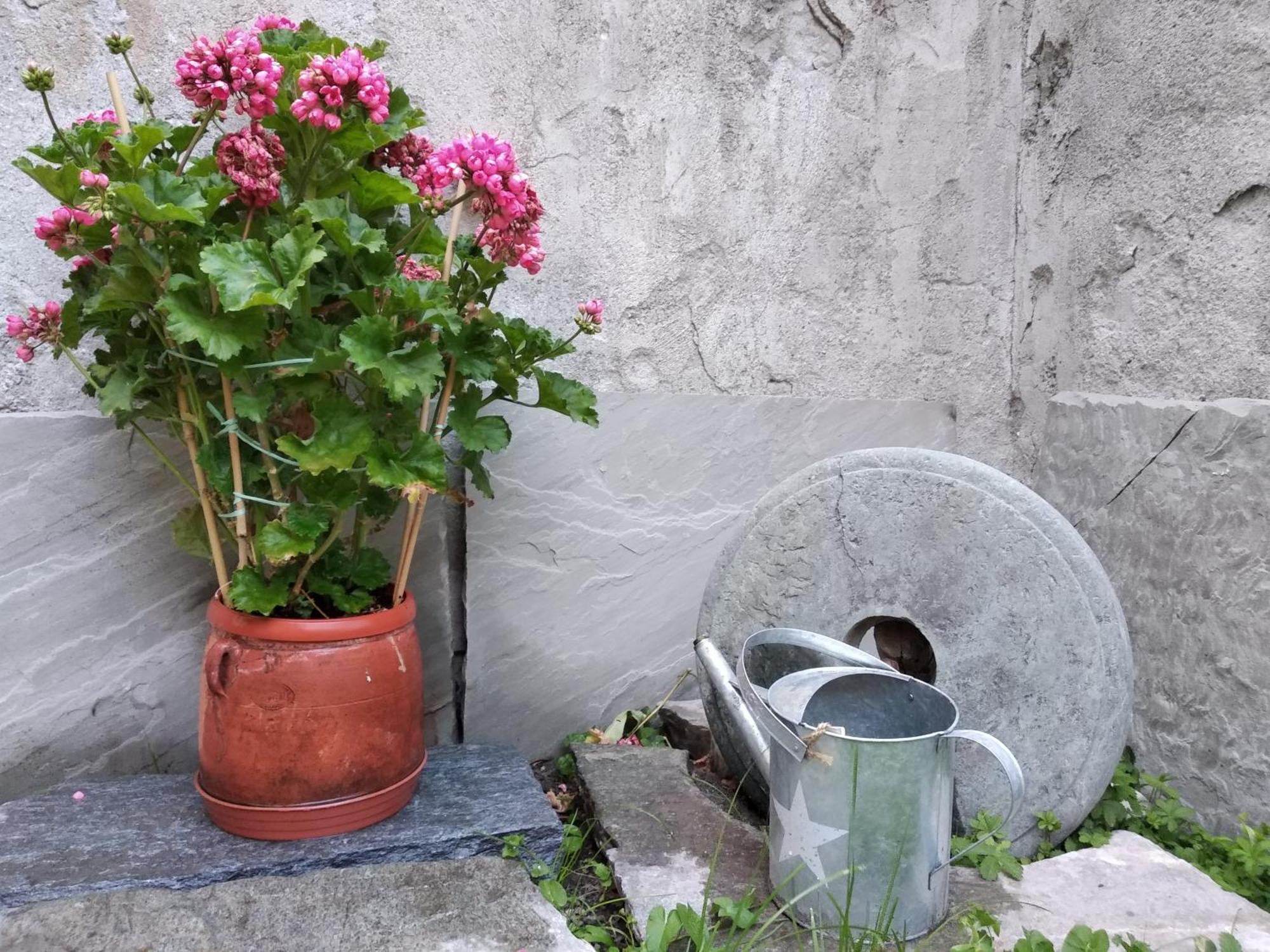 Apartment Maison Soleil - Il Giardino - Affitti Brevi Italia Aosta