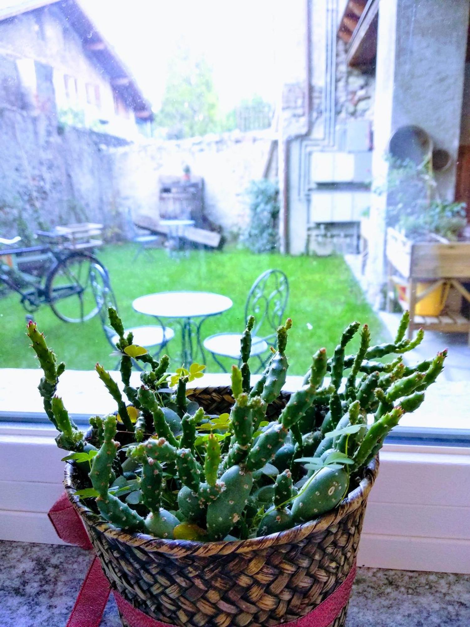 Maison Soleil - Il Giardino - Affitti Brevi Italia * Aosta